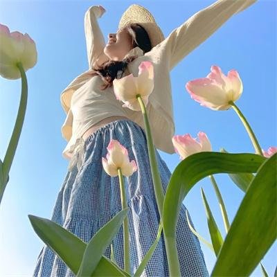 夏威夷特勤组第三季